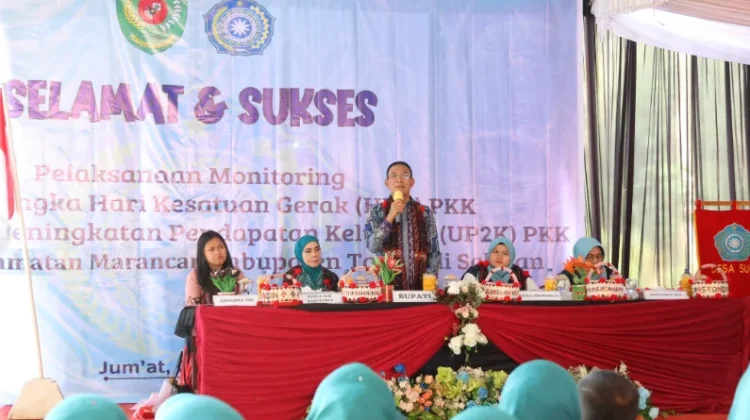 Pemkab Tapanuli Selatan Sambut Tim Monitoring TP PKK Sumut