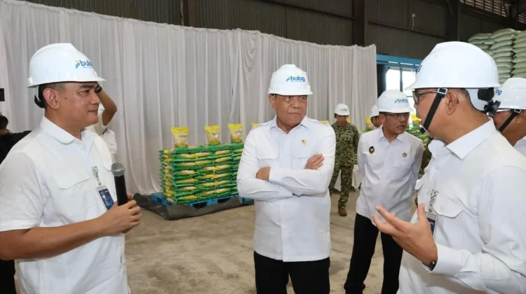 BULOG Perkuat Sinergi Ketahanan Pangan, Menko Polkam Tinjau Stok Beras di Sumut