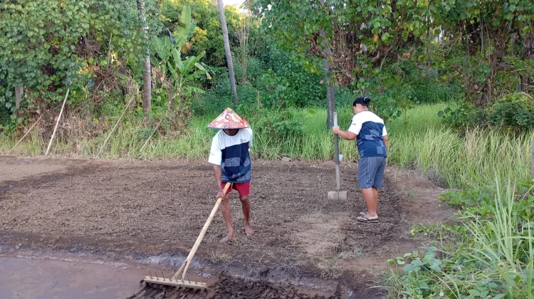 Astra Dukung Pengembangan Garam Tradisional Desa Les