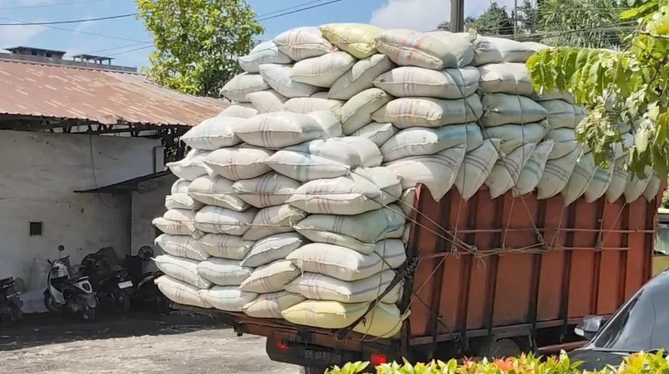 Gabah Langka, Pabrik Beras Terancam Hentikan Produksi