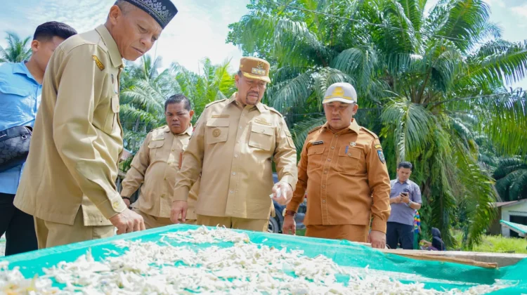 Bupati Batu Bara Tinjau Potensi Perikanan dan UMKM Desa Sentang