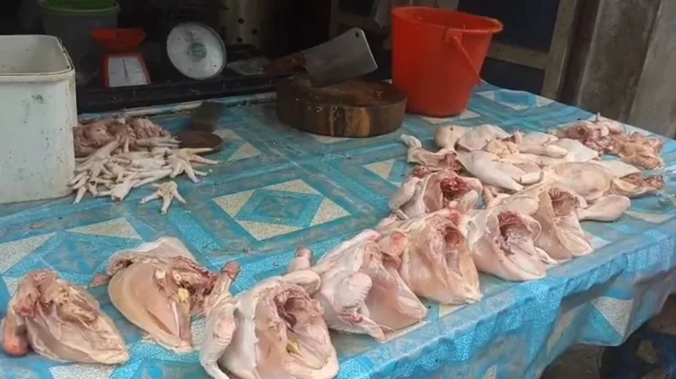 Harga Ayam Turun, Omzet Pedagang Meningkat