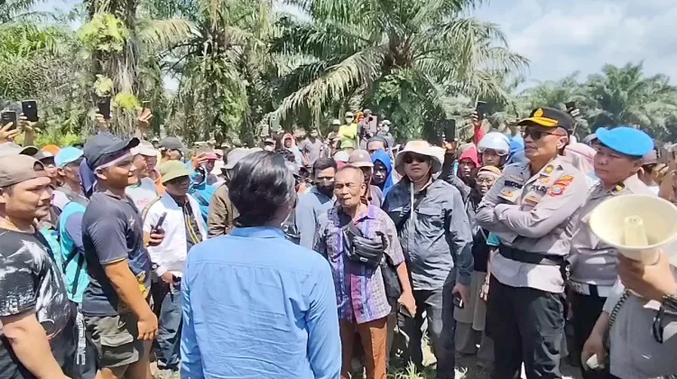 Beralaskan Putusan MA, Masyarakat Garap Kebun PT CSIL di Asahan