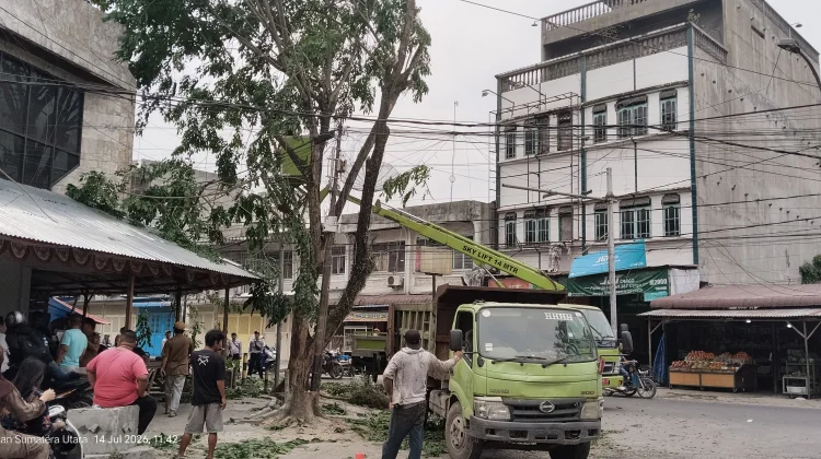 Camat Tanjungbalai Selatan dan DLH Lakukan Penebangan Pohon Antisipasi Banjir