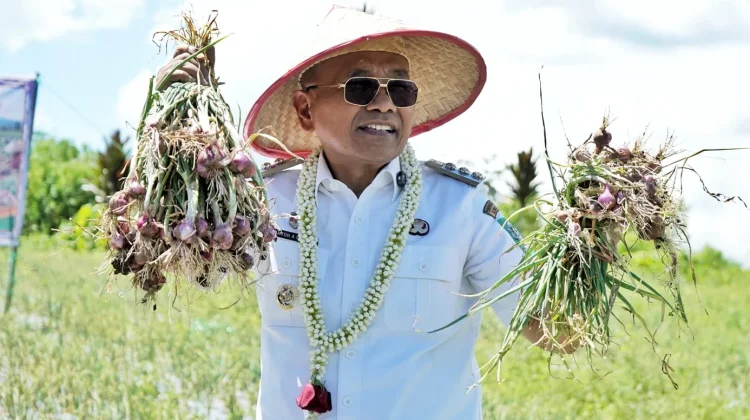 Bupati Simalungun Serahkan Alsintan kepada Petani