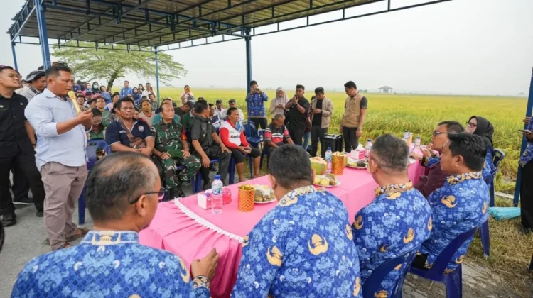 Bupati Deli Serdang Perkuat Dukungan untuk Petani