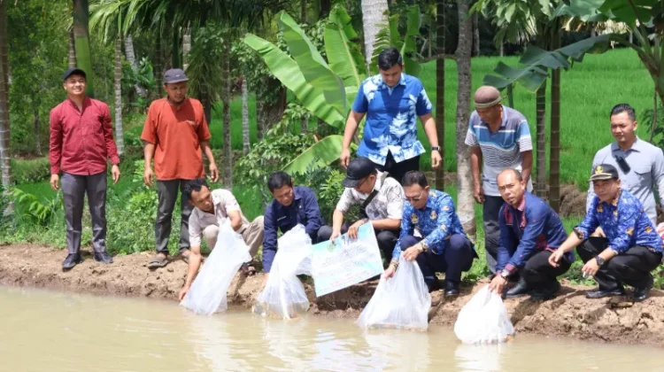 Gus Irawan Serahkan Bantuan KAT, Dorong Angkola Barat Perkuat Ketahanan Pangan