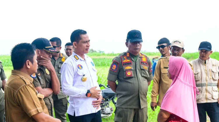 Tim Terpadu P4GN Bongkar Kafe Cantik Pasca Temuan Penyalahgunaan Narkoba