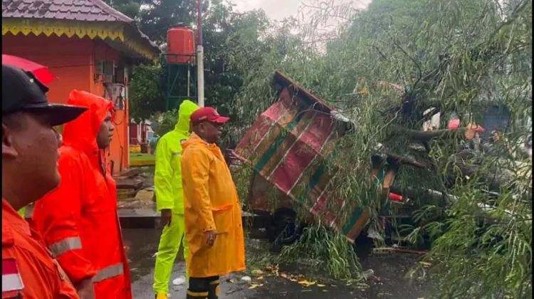 Cuaca Ekstrem, Pemko Binjai, Evakuasi Pohon Tumbang dan Tangani Korban