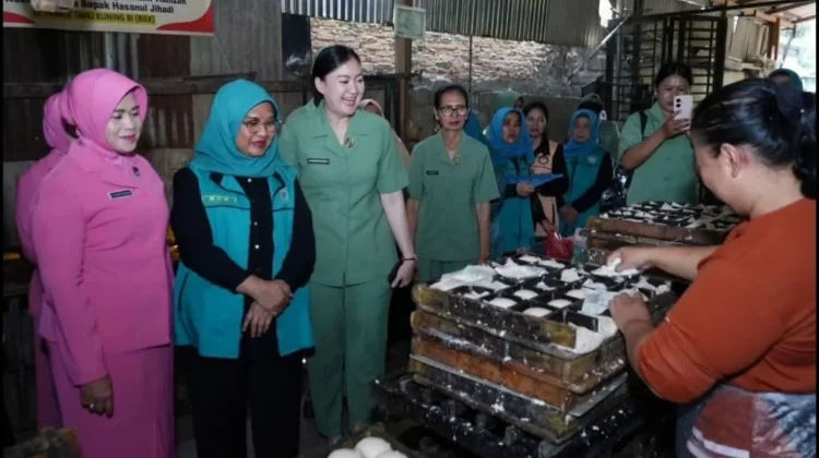 Kunjungi Kampung Tahu, TP PKK Kota Binjai Dorong Penguatan UMKM Lokal