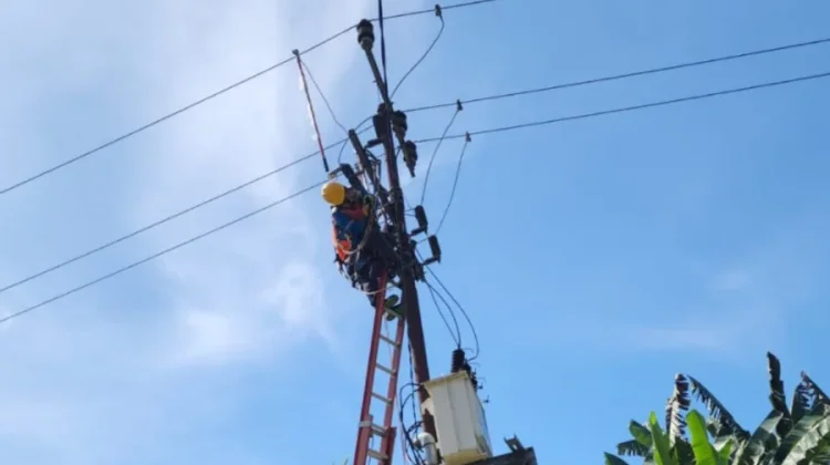 Sambut HUT ke-81 RI, Delapan ULP PLN Bergerak Serentak Perkuat Keandalan Listrik