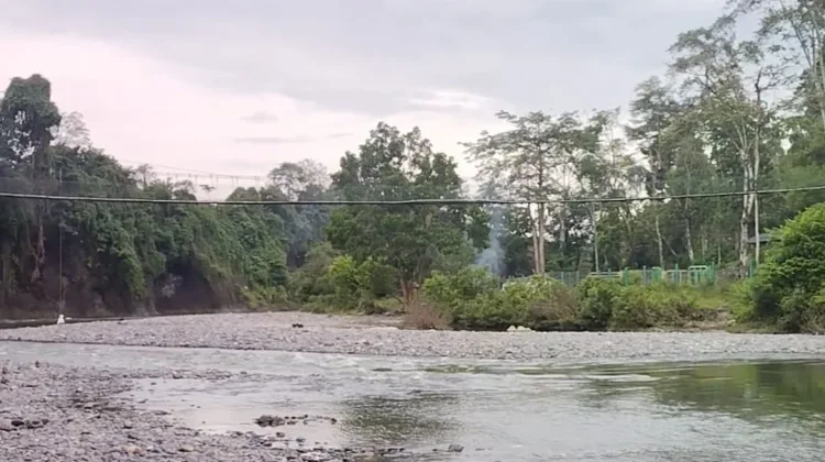 Ekowisata Tangkahan Banyak Diminati Wisatawan