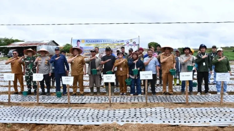 Pemkab Samosir Salurkan Empat Ton Benih Bawang Putih