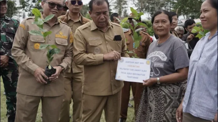Bupati Karo Serahkan 1,2 Juta Benih Kopi Arabika untuk 259 Kelompok Tani