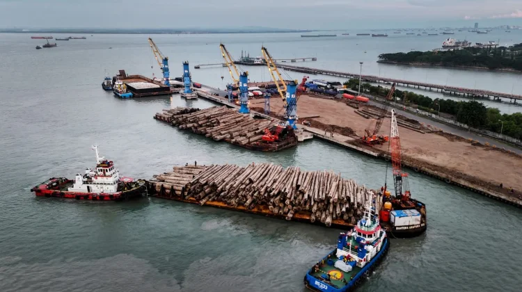 Pelindo Multi Terminal Catat Kinerja Positif pada Semester I 2026