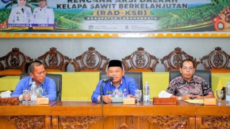 Perkuat Tata Kelola Sawit Berkelanjutan, Pemkab Labuhanbatu Susun RAD-KSB