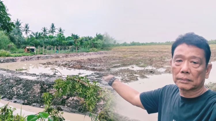 Kelompok Tani Sehati Rancang Wisata Sawah di Tanjungbalai