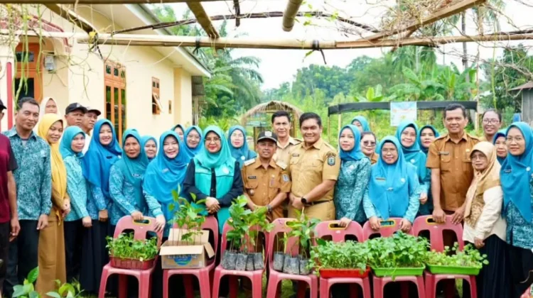Ketahanan Pangan, TP PKK Binjai Dorong Masyarakat Manfaatkan Pekarangan Rumah
