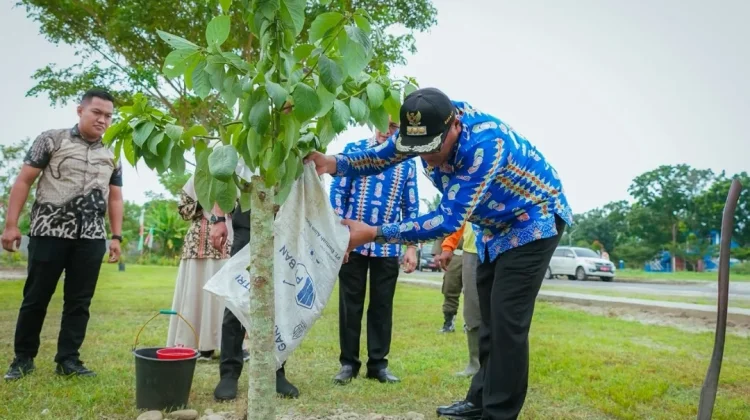 Pemkab Deli Serdang Donasi Bibit Pohon Gantikan Karangan Bunga