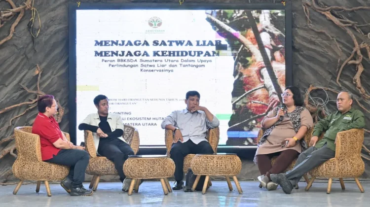 Hari Orangutan Sedunia, YEL Ajak Masyarakat Bergerak Nyata