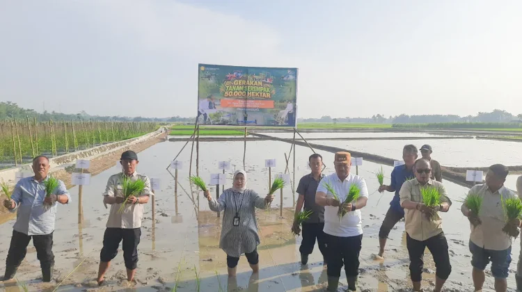 Batu Bara Ikuti Gerakan Tanam Serempak Nasional