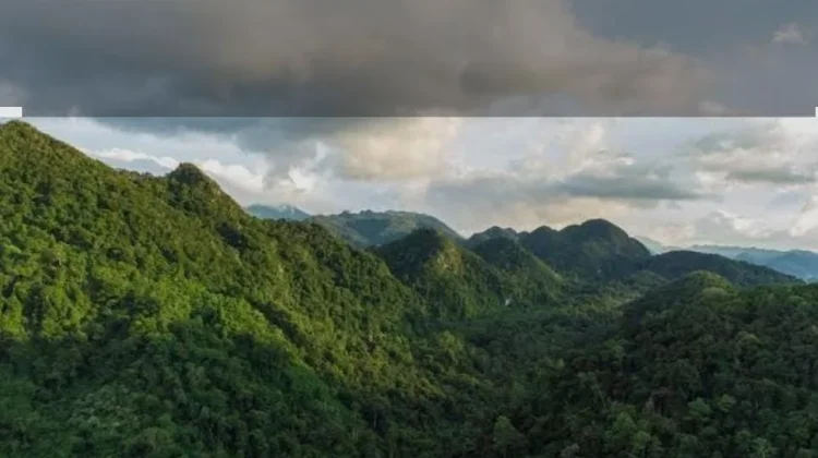 Pendengar RRI: Hutan Sumber Kehidupan yang Harus Dijaga