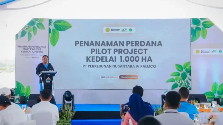 Bupati Sergai Dorong Optimalisasi Lahan Perkuat Ketahanan Pangan