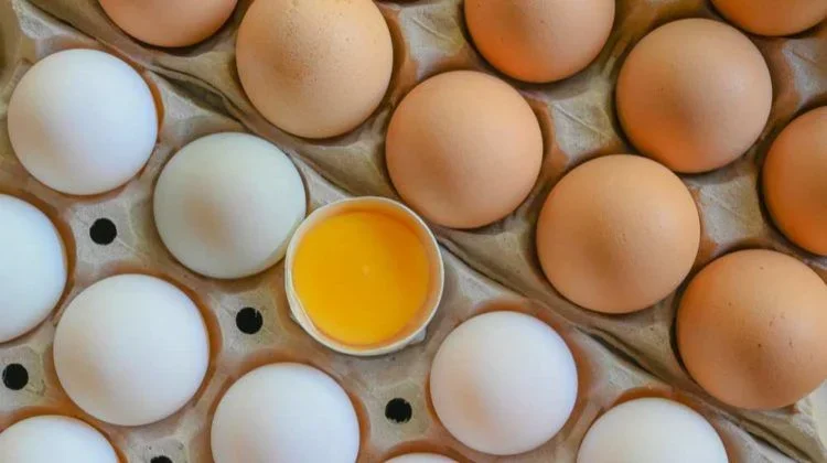 Kuning Telur Ayam Kampung Kaya Nutrisi, Ini 5 Manfaatnya bagi Tubuh