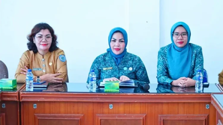 Ketua TP PKK Labuhanbatu Hadiri Zoom Meeting Bersama Direktur Imunisasi Kemenkes