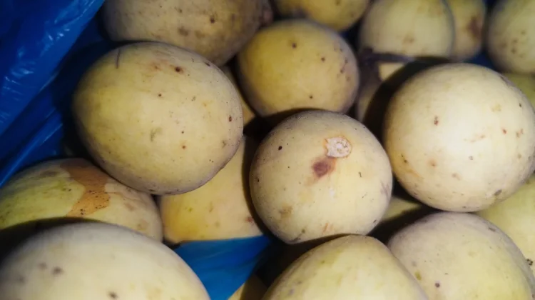 Konsumsi Buah Duku Bantu Kontrol Kenaikan Berat Badan