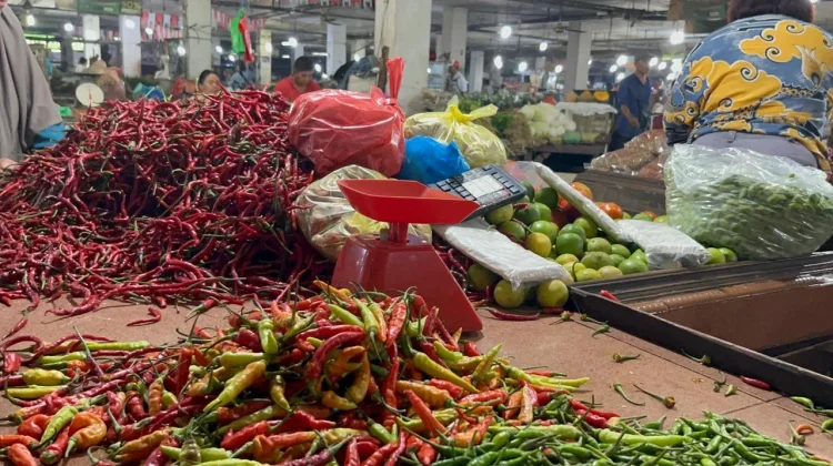 Harga Cabai di Medan Tembus Rp60 Ribu per Kilogram