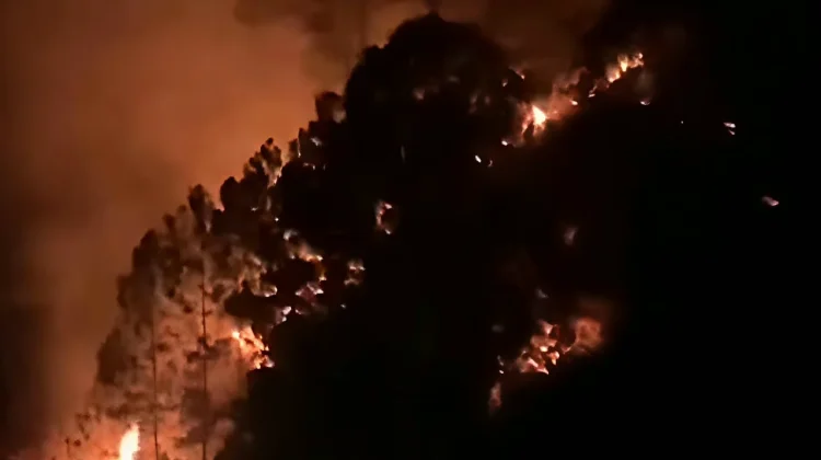 Kebakaran Hutan Kodon-Kodon Karo Berhasil Dipadamkan