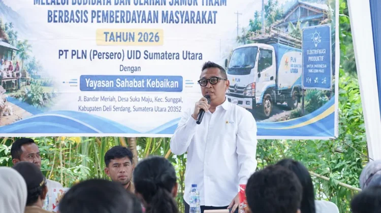 Program Budidaya Jamur Tiram Berbasis Listrik PLN Dorong Kemandirian Ekonomi