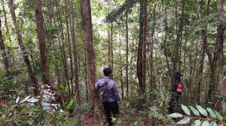 Survei Kedua Digelar, Jalan 800 Meter di Sibongkaras Dibidik Jadi Sasaran TMMD