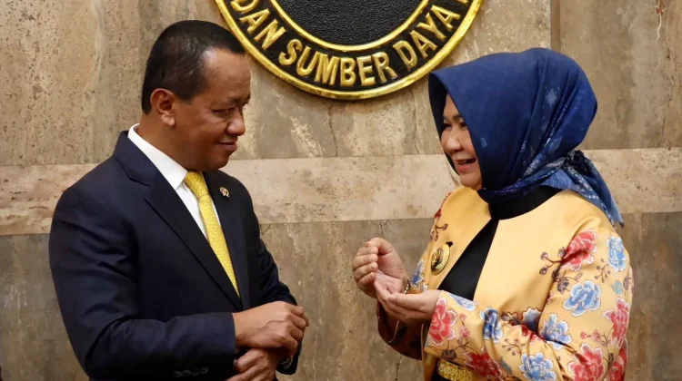Plt. Bupati Tiorita Laporkan Verifikasi 509 Sumur Minyak Langkat ke Menteri ESDM
