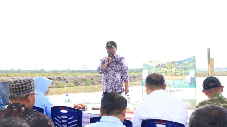 Bupati Sergai Dorong Gerakan Tanam Serempak Perkuat Ketahanan Pangan