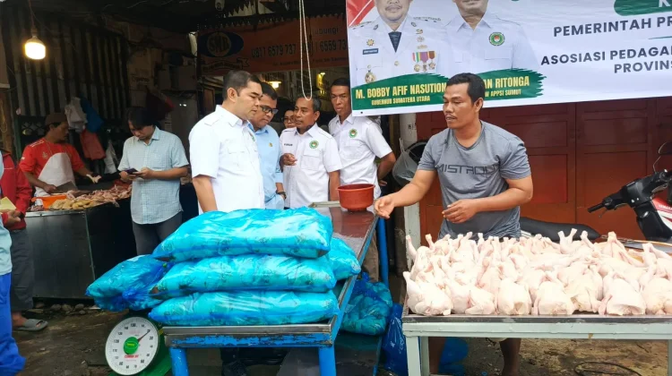 APPSI Sumut Pangkas Rantai Distribusi untuk Tekan Harga Ayam