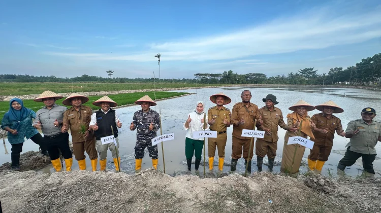 Wali Kota Tanjungbalai Tanam Padi Perdana di Sawah Baru 43 Hektare