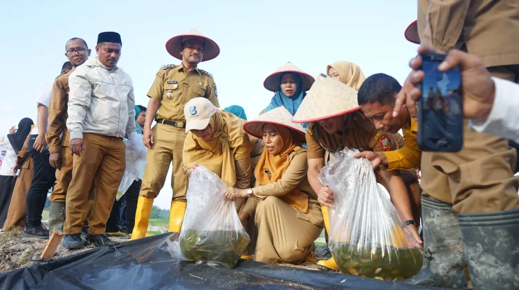 Pemkot Tanjungbalai Integrasikan Tiga Sektor Dukung Ketahanan Pangan