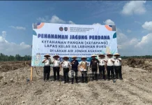 Bupati Asahan Rianto Apresiasi Penanaman Jagung