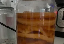 Manfaat Kombucha Bagi Tubuh