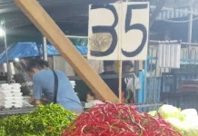 Harga Cabai Merah di Sumut Berpotensi Naik, Pengamat Soroti Dampak Distribusi