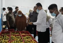 Wakil Walikota Tanjungbalai Pantau Sejumlah SPPG