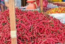 Harga Cabai Sumut Anjlok, TPID Diminta Waspada