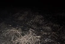 Lahan Kering di Tanjungbalai Terbakar