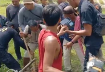 Karyawan dan Penggarap Bentrok di Perkebunan Kelapa Sawit