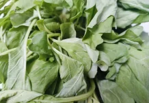 Sayuran Sebaiknya Tidak Dimakan Mentah