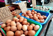 Harga Cabai dan Telur Stabil di Pasar Sei Sikambing