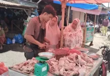 Harga Daging Ayam di Sumut Mulai Turun