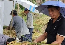 Petani Tanjungbalai Ajak Warga Manfaatkan Lahan Terlantar